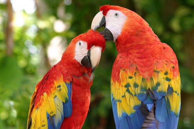 CATAMARAN to Isla Mujeres, Snorkel & Beach Club by Xcaret - A full Caribbean day for $74.66