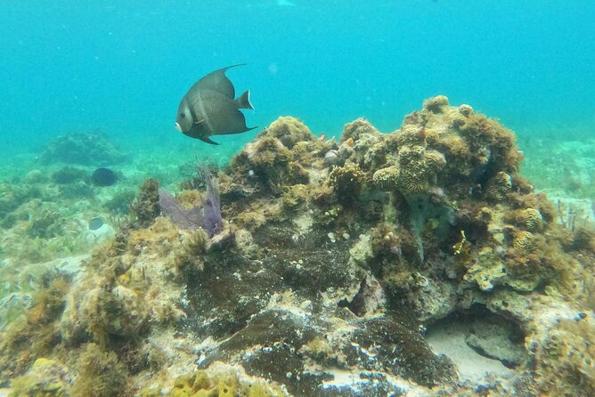 Catamaran with Snorkeling and North Beach, Isla Mujeres - Booking, cancellation, and practical details
