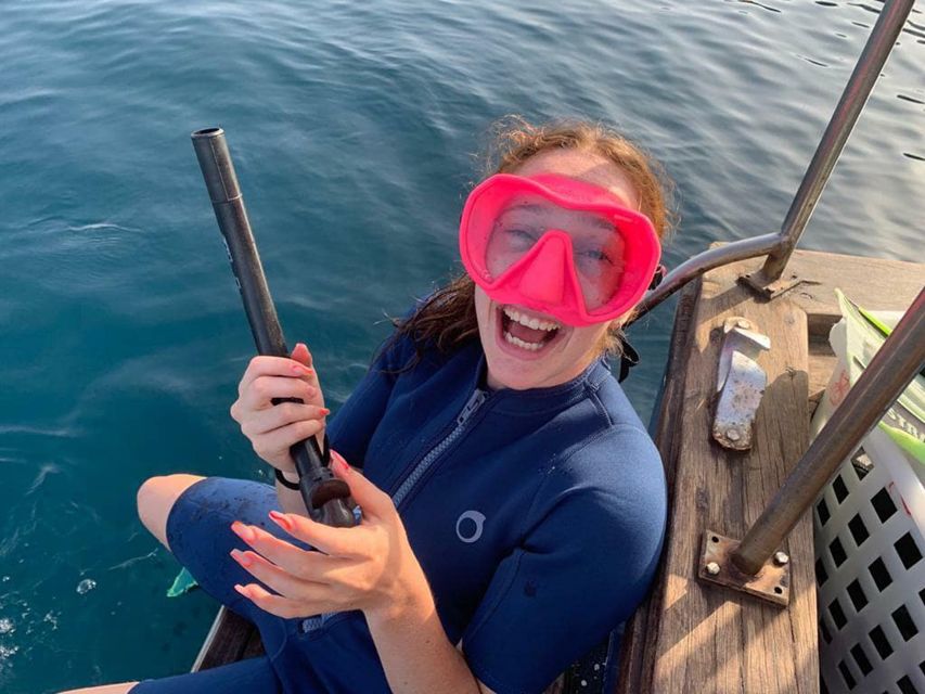 Catania, Isole Ciclopi: Snorkeling Trip - The underwater scenery: lava first, fish second