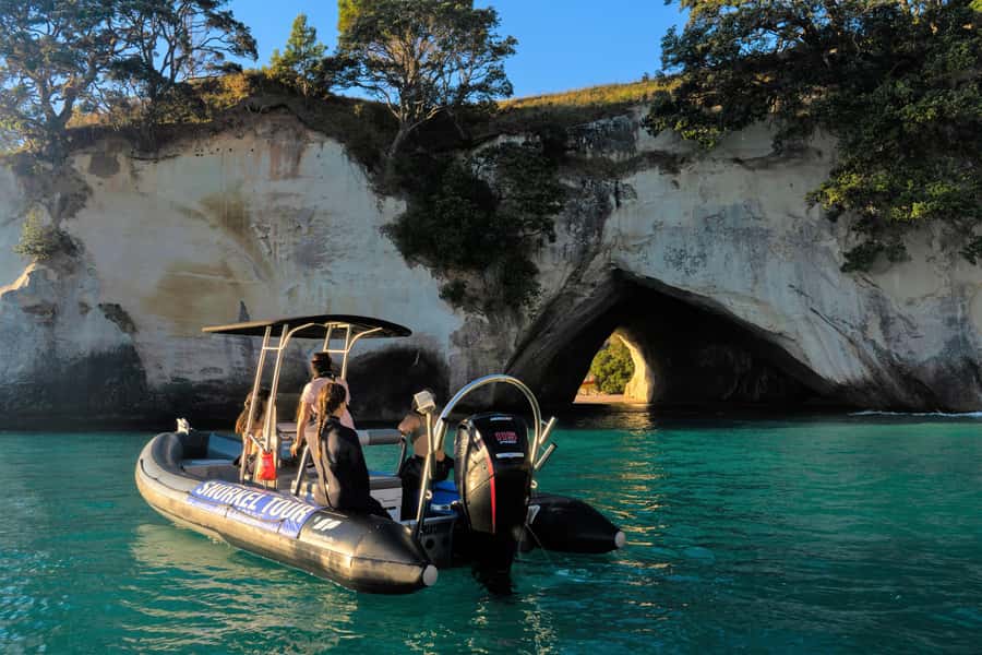 Cathedral Cove Marine Reserve: Snorkeling Boat Trip - Choosing the snorkeling site