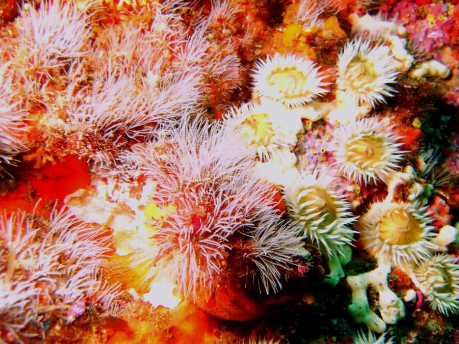 Cathedral Cove Marine Reserve: Snorkeling Boat Trip - Keeping the gear for the rest of the day