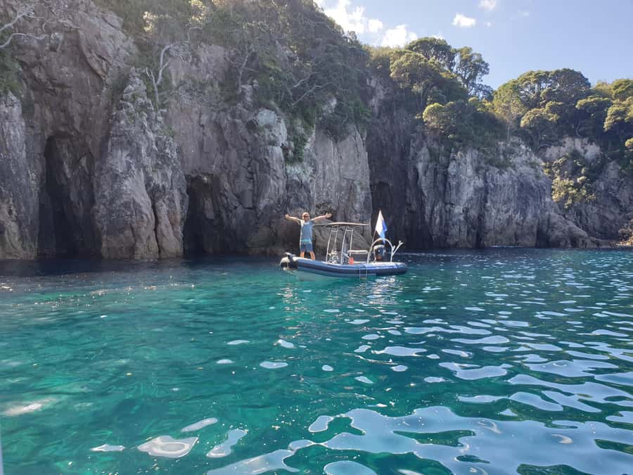 Cathedral Cove Marine Reserve: Snorkeling Boat Trip - Who should book this Hahei trip?