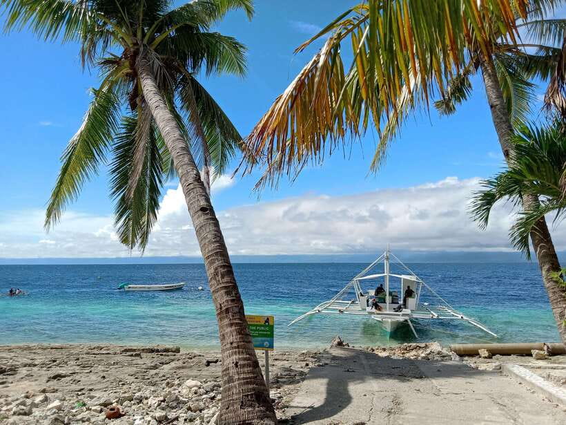 Cebu: Kawasan Canyoning, Moalboal Snorkeling, & Turtles Tour - What the four-hour Kawasan canyon route feels like