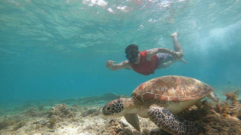 Cebu: Moalboal Sardines Run Snorkel & Kawasan Canyoneering - Should you book it?