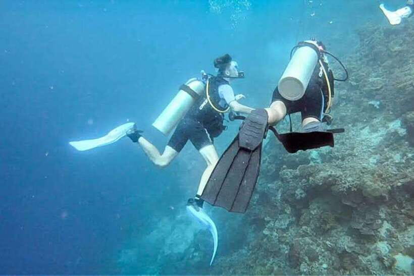 Cebu: Moalboal Scuba Diving, Sardines Run & Pescador Snorkel - What the three-hour Moalboal session involves