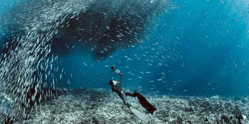 Cebu: Moalboal Scuba Diving with Sardines and Turtle Snorkel - Pescador Island and the reef question