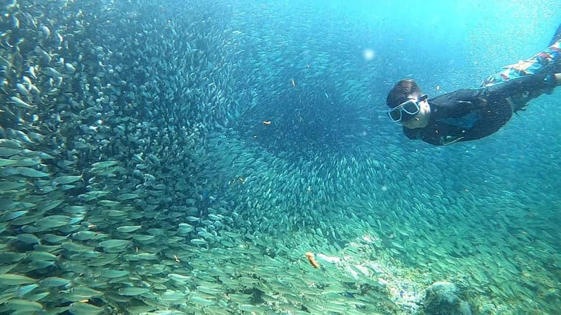 Cebu: Moalboal Snorkeling, Mantayupan Falls & ATV Adventure - Barili by ATV, with a practical warning