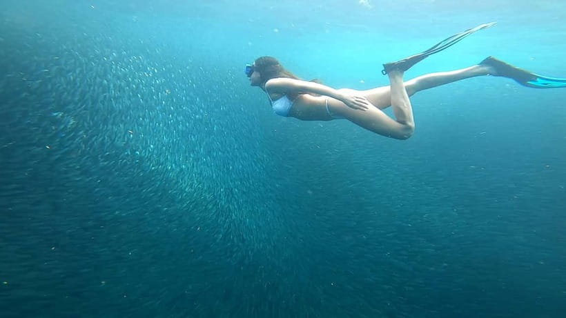 Cebu: Moalboal Snorkeling, Mantayupan Falls & ATV Adventure - Is $117 a fair price?