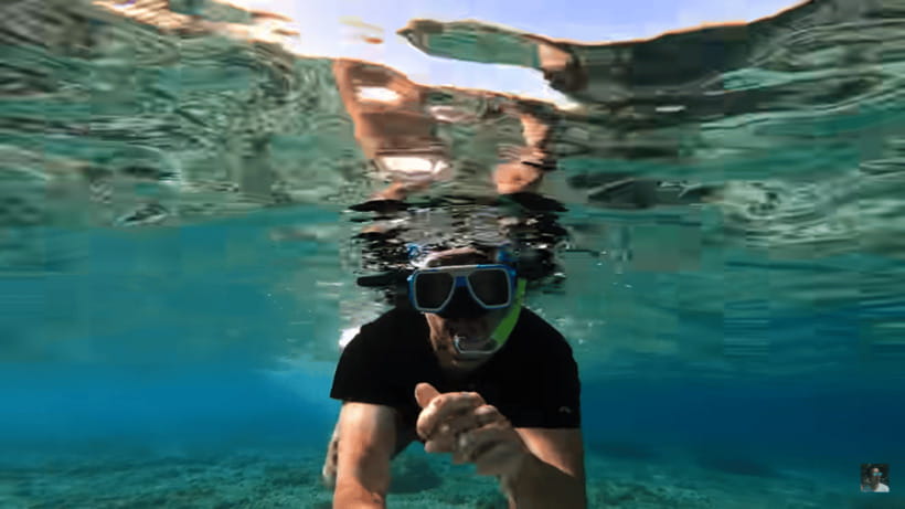 Cebu: Oslob Whale Shark and Moalboal Snorkeling Tour - Who will enjoy this Cebu tour