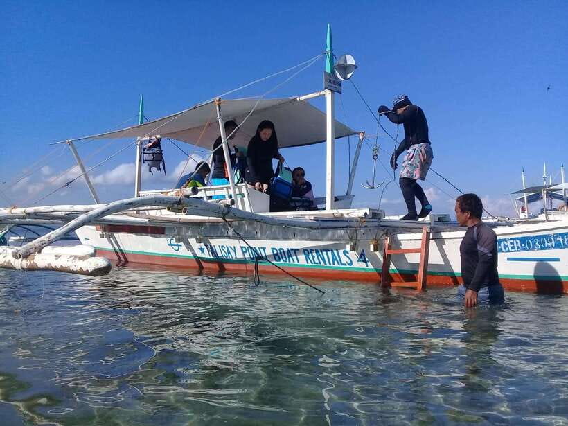Cebu: Oslob Whale Sharks, Tumalog Falls & Sardine Snorkeling - The real value of the $106 price