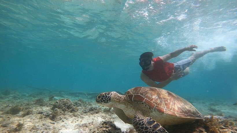 Cebu: Osmeña Peak hike and Sardines Run Snorkel adventure - FAQ