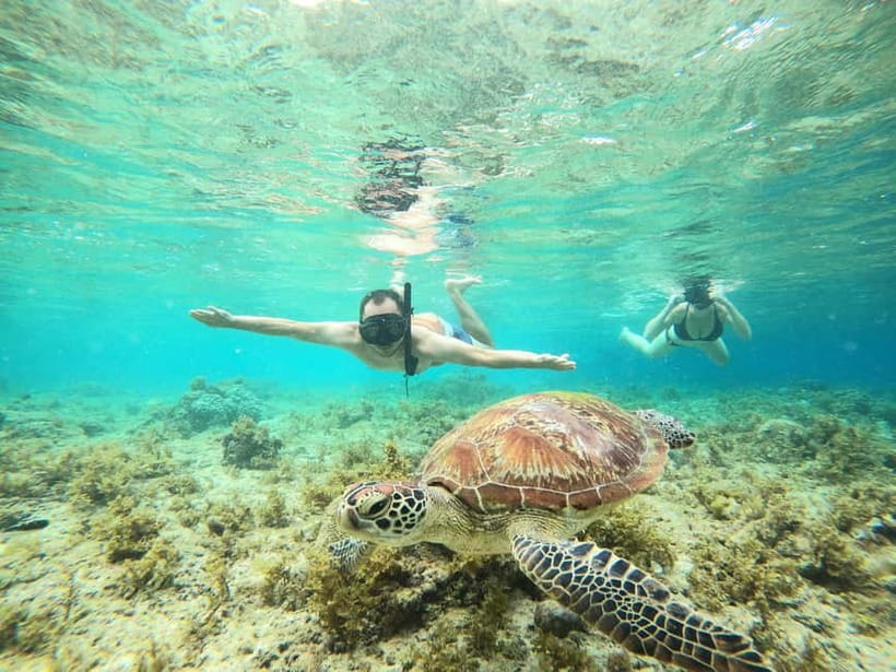 Cebu: Sardine Run Snorkeling, Mantayupan Falls & ATV Thrills - A short breakfast stop, with food at your expense