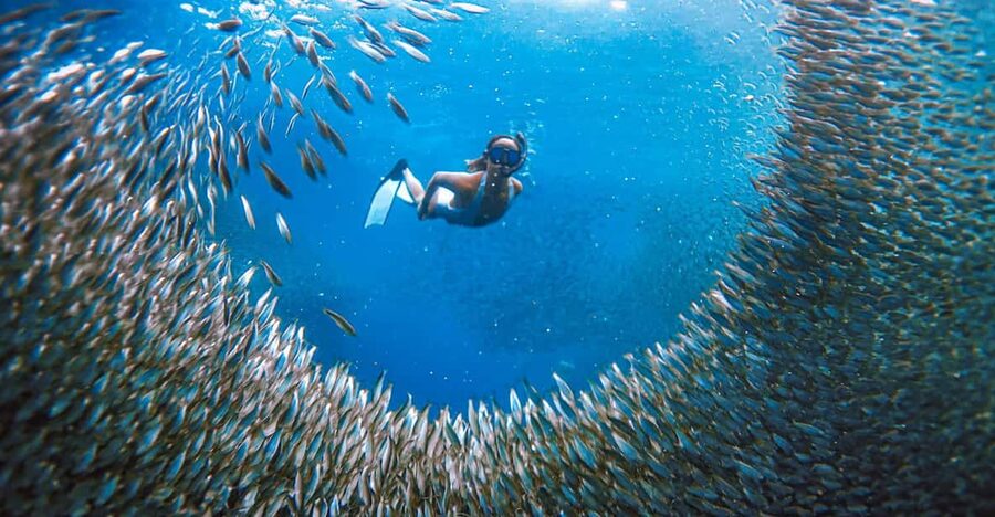 Cebu: Sardine Run Snorkeling, Mantayupan Falls & ATV Thrills - The Barili ATV ride and what it really offers
