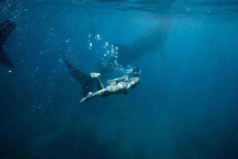 Cebu: Sumilon Sand Bar, Whale Sharks & Sardines Snorkeling - Sumilon Island and its shifting sandbar