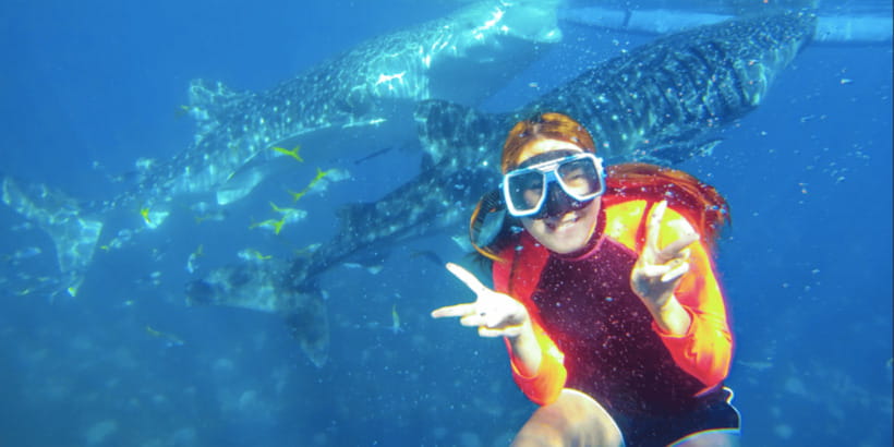 Cebu: Sumilon Sand Bar, Whale Sharks & Sardines Snorkeling - Who should book this Cebu day trip