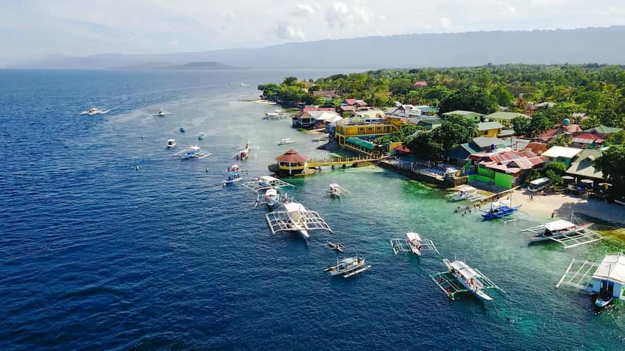 Cebu: Whale Shark, Monkey Sanctuary, & Moalboal Snorkel Tour - What to bring for a long water day