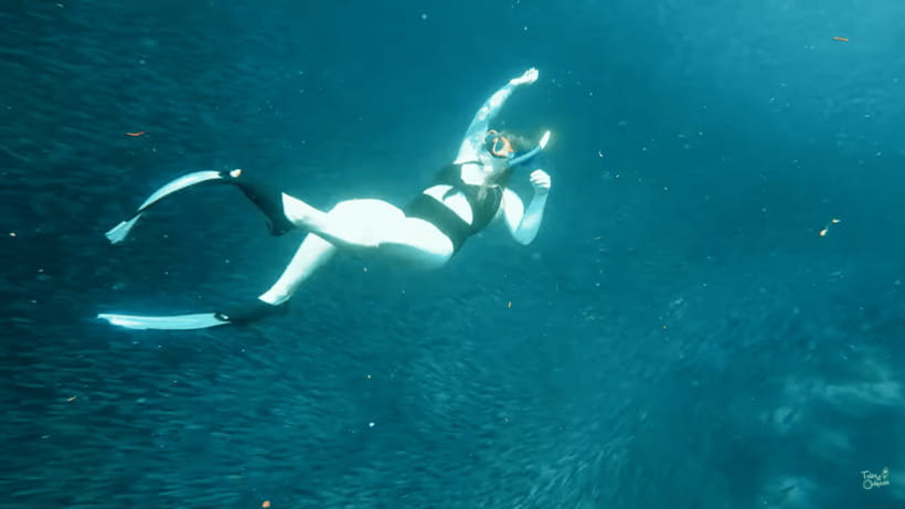Cebu: Whale Shark Oslob and Moalboal Snorkeling Adventure - The long ride to Moalboal