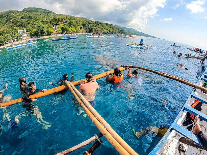 Cebu: Whale Shark Snorkeling & Kawasan Canyoning Tour - Lunch with a view after the water