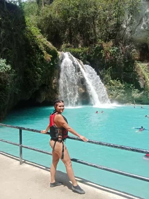 Cebu: Whale Sharks, Kawasan Falls, & Sardines Run Snorkeling - Moalboal’s sardines and sea turtles