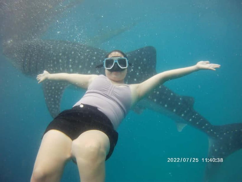 Cebu: Whale Sharks, Kawasan Falls, & Sardines Run Snorkeling - The driver can make or break the long transfers