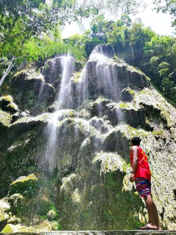 Cebu: WhaleShark , Tumalog Falls, & Sardine Run Snorkeling - Moalboal’s sardine run and sea turtles