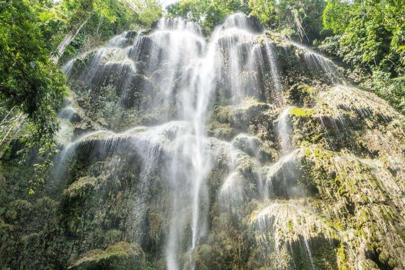 Cebu: WhaleShark , Tumalog Falls, & Sardine Run Snorkeling - What to pack and what to budget