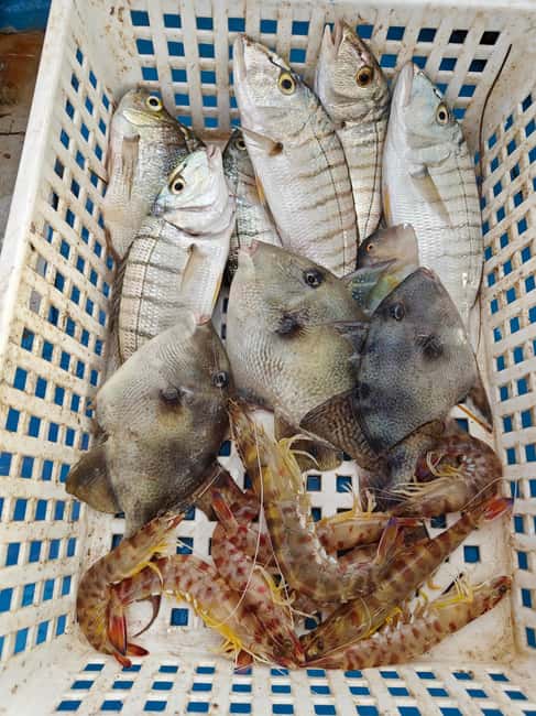 Cefalù: boat trip with fishing, coastal tour, snorkeling, and lunch on board - Who should book, and who should skip it