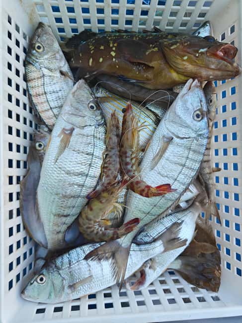 Cefalù: boat trip with fishing, coastal tour, snorkeling, and lunch on board - Should you book the Cefalù fishing trip?