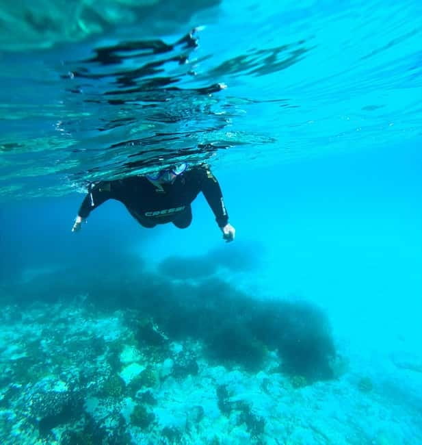 Chalkidiki: Snorkeling Adventure in Sithonia - A calm start at Kalogria Beach