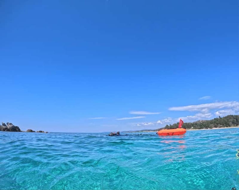 Chalkidiki: Snorkeling Adventure in Sithonia - One hour among fish, sea urchins, and octopuses