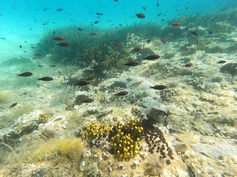 Chalkidiki: Snorkeling Adventure in Sithonia - Photos and videos you can actually use
