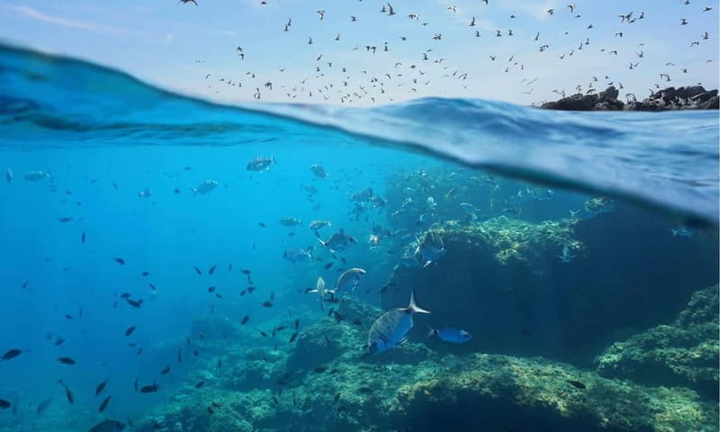 Chalkidiki: Snorkeling Adventure in Sithonia - FAQ
