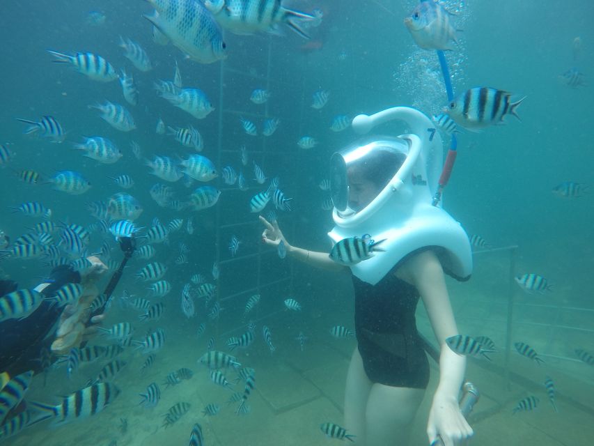 Cham Island: Underwater Walking & Snorkeling Tour - Key points to know before you book