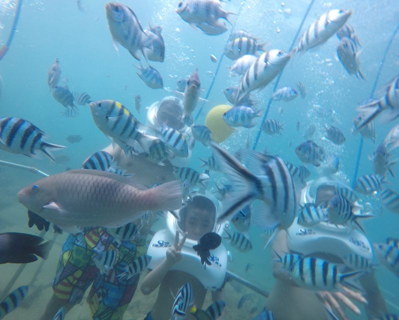 Cham Island: Underwater Walking & Snorkeling Tour - Why the helmet walk is the main attraction