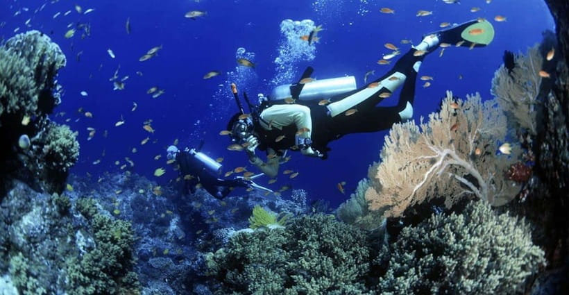 Cham Islands Snorkeling Tour by Speedboat : Hoi An/Da Nang - Key points to know before booking