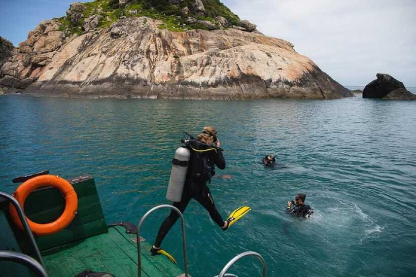 Cham Islands Snorkeling Tour by Speedboat : Hoi An/Da Nang - Snorkeling around Cham Island