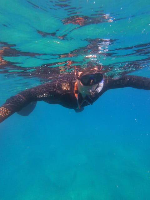 Chania: Boat Trip with Guided Snorkeling Tour - Fruit, water, and a useful pause between swims