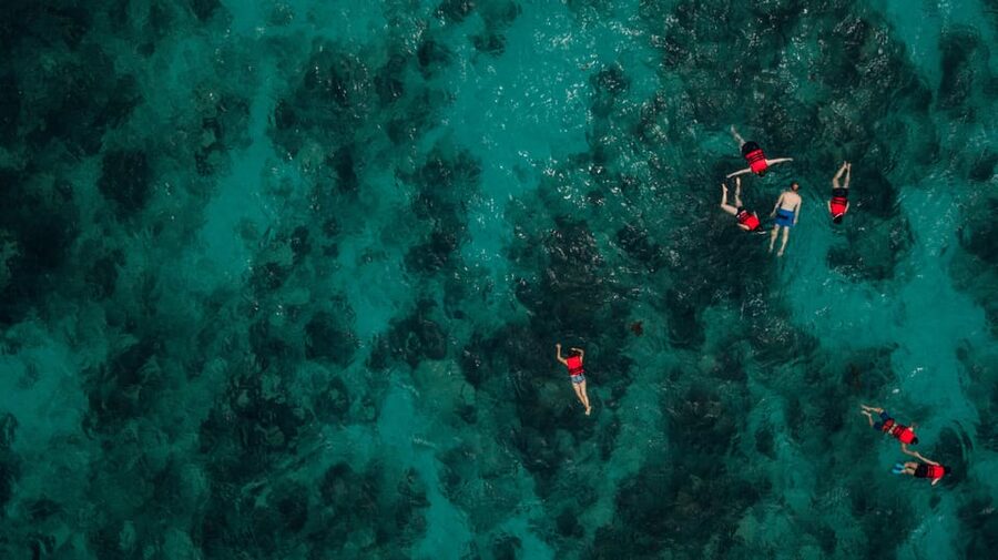 Chania: Boat Trip with Guided Snorkeling Tour - What the crew does especially well
