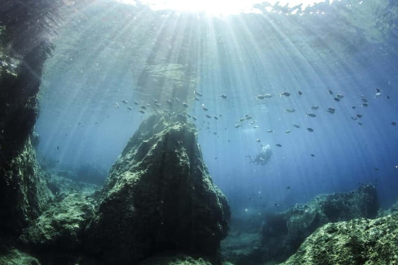 Chania: Scuba Diving and Snorkeling for Beginners by Boat - The 30-minute briefing before the boat