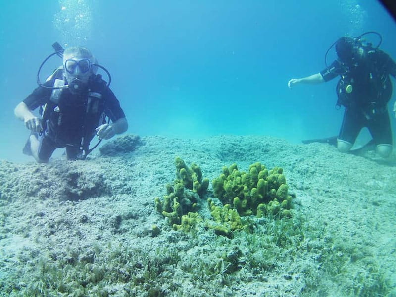 Chania: Scuba Diving and Snorkeling for Beginners by Boat - Practical preparation for the day