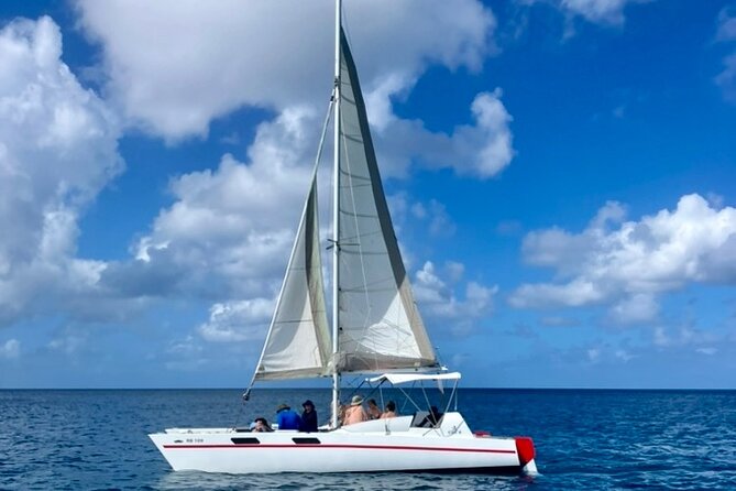 Che’s snorkel cruise! turtles & shipwrecks (semi private) - The second stop: three wrecks and a coral reef