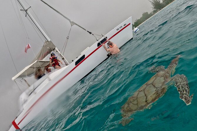 Che’s snorkel cruise! turtles & shipwrecks (semi private) - Che, Carlton, and Kamal keep the group small