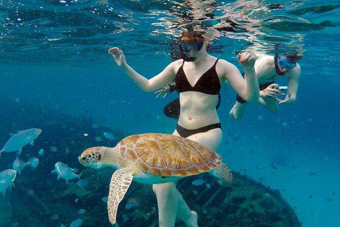 Che’s snorkel cruise! turtles & shipwrecks (semi private) - Is the $75 price good value?