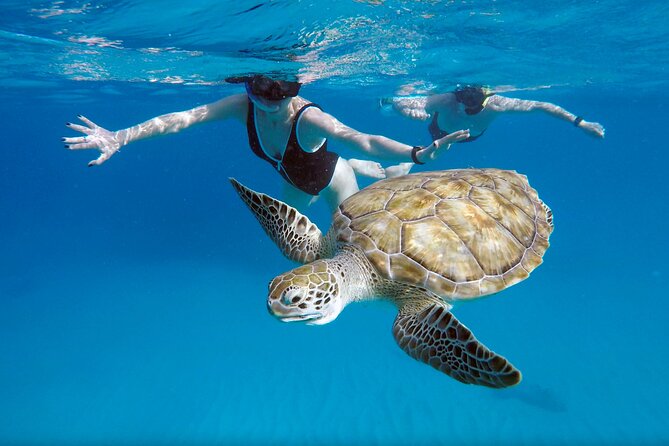 Che’s snorkel cruise! turtles & shipwrecks (semi private) - Meeting Che and reaching the launch point