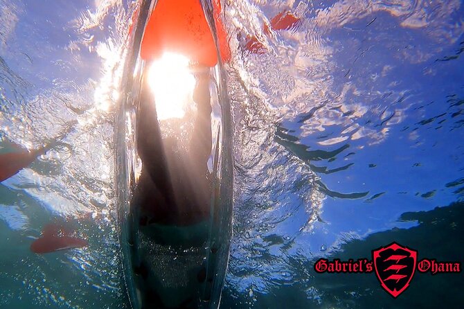Clear Kayak Tour with Pontoons and Optional Snorkeling-Unlimited - Key points to know before booking