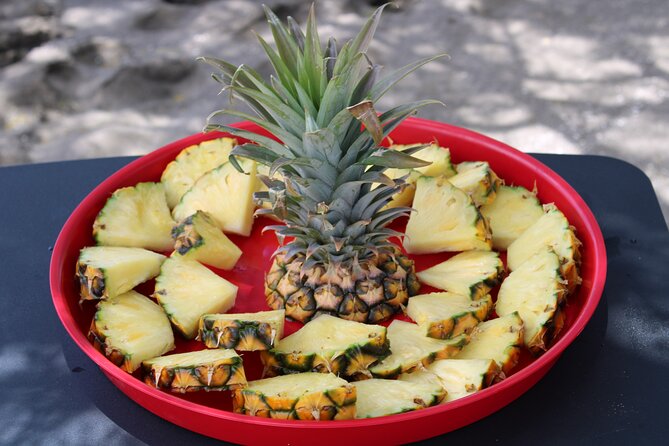 Clear Kayak Tour with Pontoons and Optional Snorkeling-Unlimited - Starting at Olowalu Beach at 8:30 a.m.