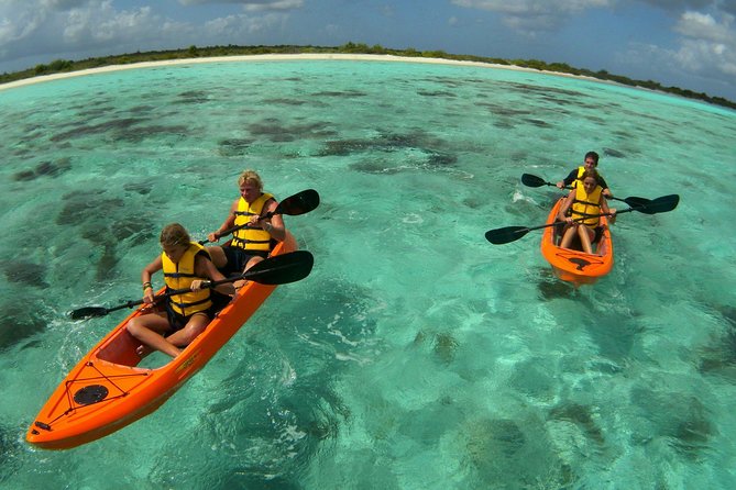Clearbottom Mangrove Kayak & Snorkel tour - Starting at Lac Cai Beach