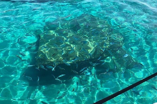 Coast of the Gods snorkeling tour: the best you can find. - Why this boat trip suits the Coast of the Gods
