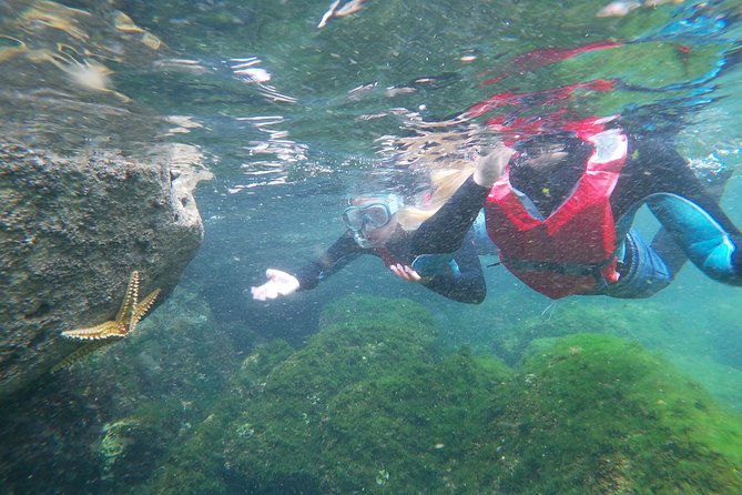 Coasteering adventure with snorkeling: kids version - A 3.5-hour route along the Costa Vicentina
