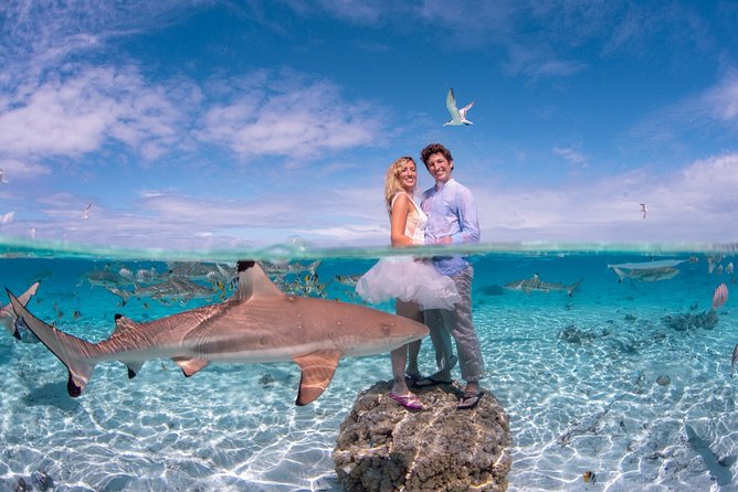 Combo Diving and Snorkeling Full Day Tour - What the price includes, and what it does not
